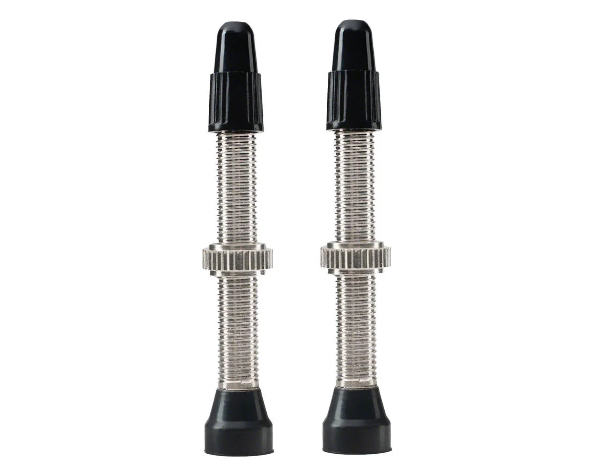 WTB TCS Standard Tubeless Valves (Silver) (Pair) (46mm)